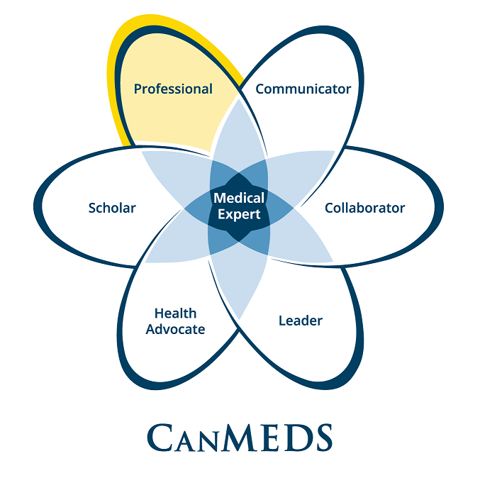 canmeds diagram