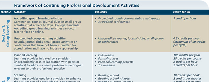 Framework of continuing professional development activities